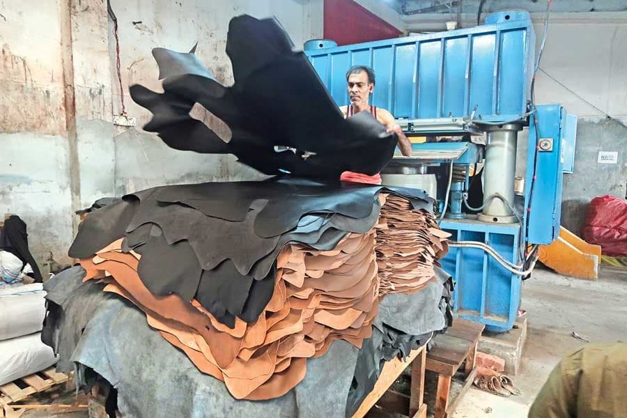 Realising leather industry's potential