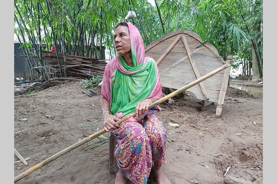 Sherpur flood causes Tk 6.0b losses in agriculture, fisheries