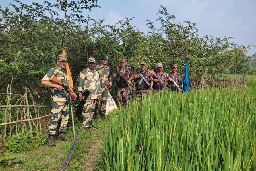 BGB thwarts BSF's attempt to erect barbed wire fence along Joypurhat border