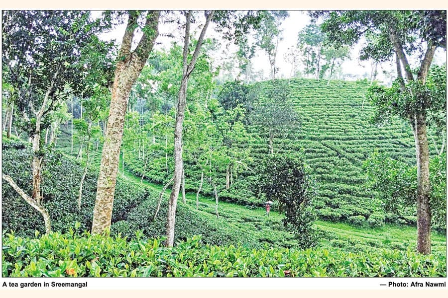 Enjoy these places this winter
