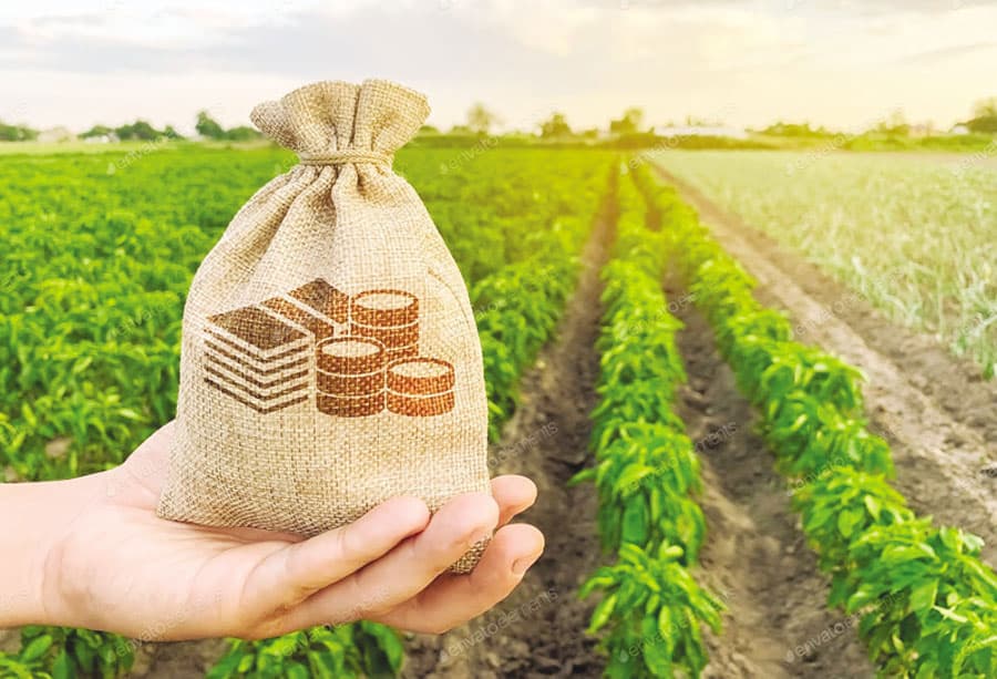 Need for speedy disbursement of farm loan