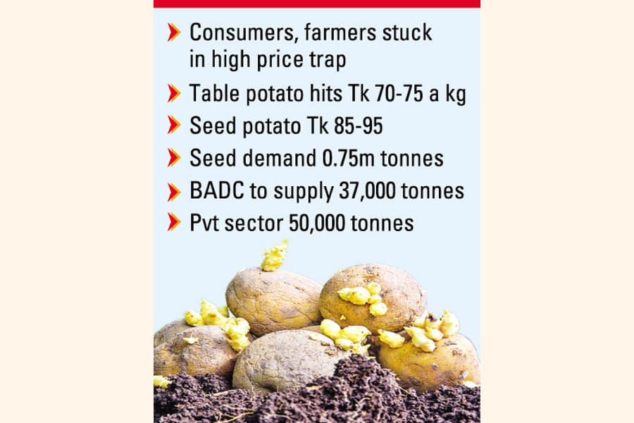 Rising seed demand makes potato pricier