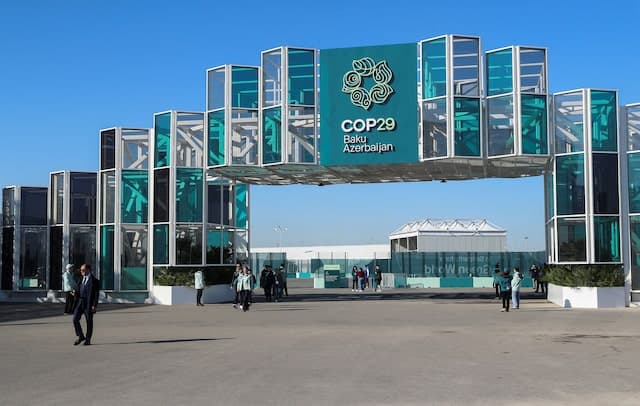 COP29: What is a carbon credit? What is Article 6?