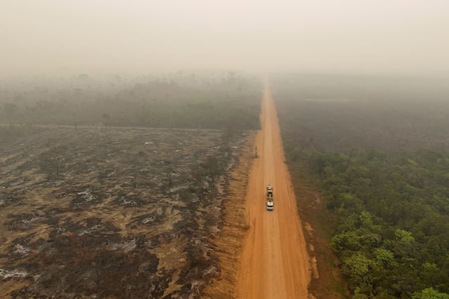 Global CO2 emissions to hit record high in 2024