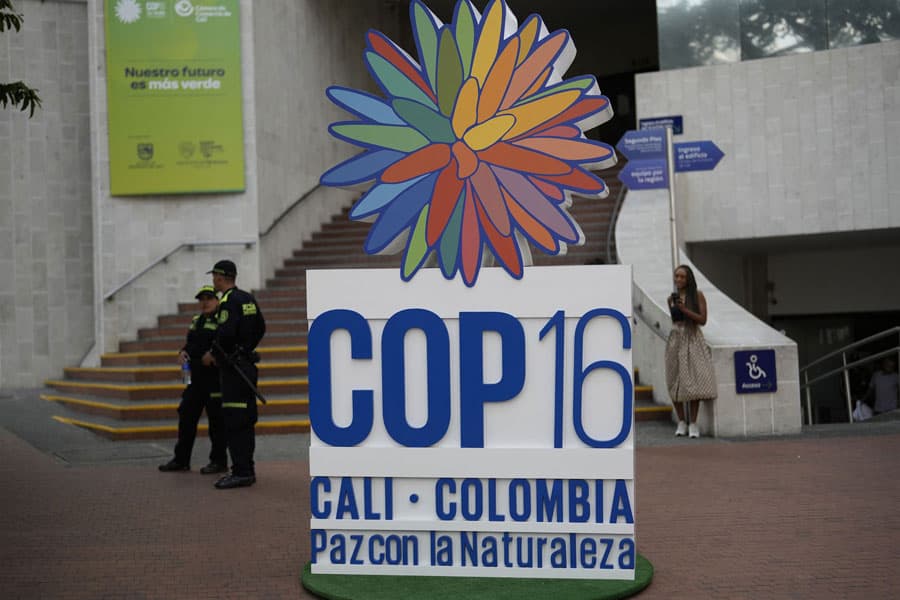 COP16 on biodiversity: an appraisal