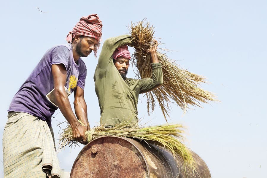 Fields of struggle: Navigating the challenges in agriculture sector