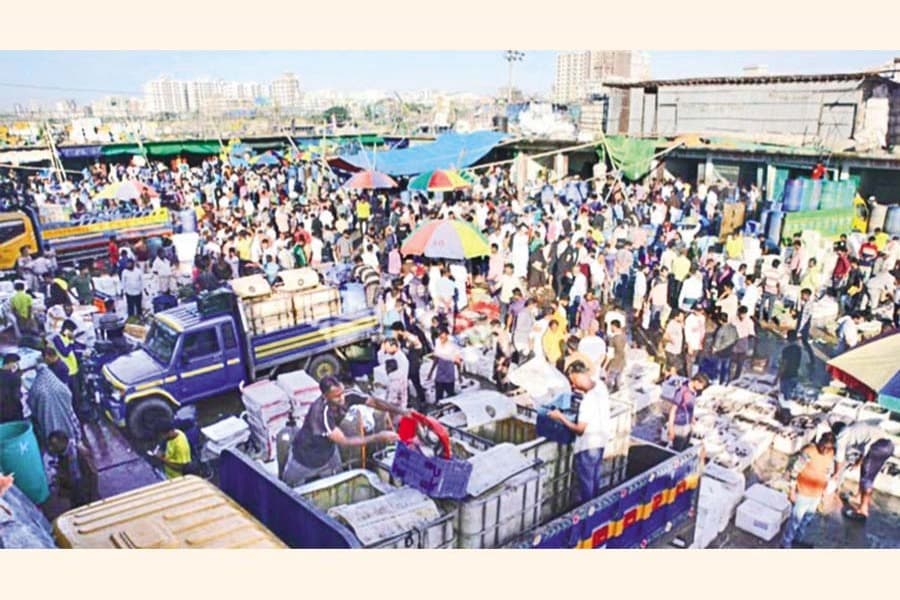 A bustling hub of fish trade