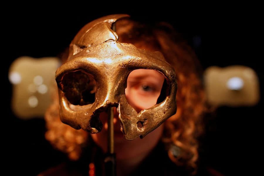 Genomes reveal timing of Homo sapiens interbreeding with Neanderthals