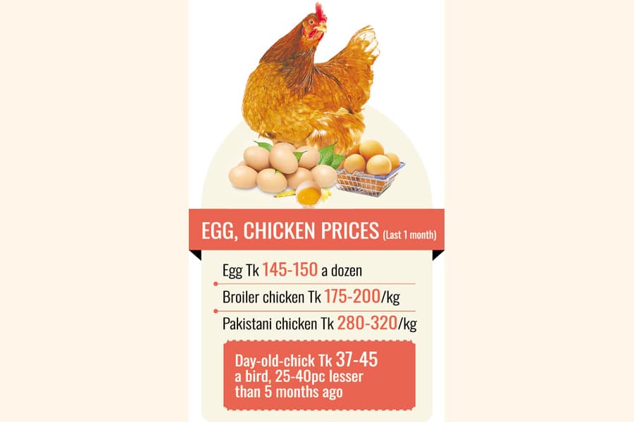 BPA threatens to halt chicken, egg production from Jan 1