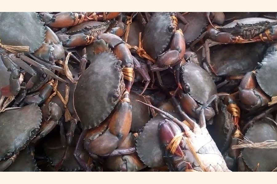 Minister eyes foreign investment in fisheries sector