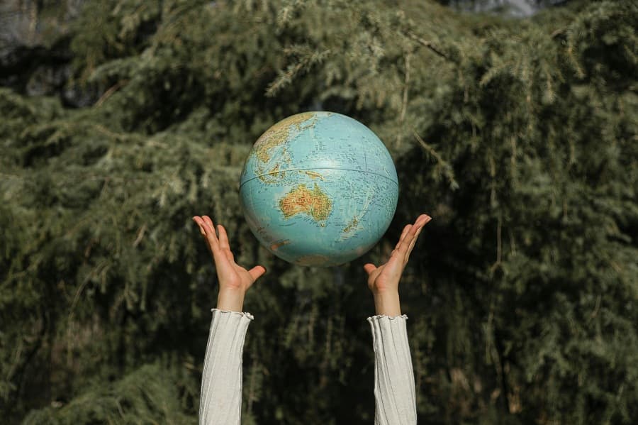 Make trees great again: The "REDD+" plan to save the world