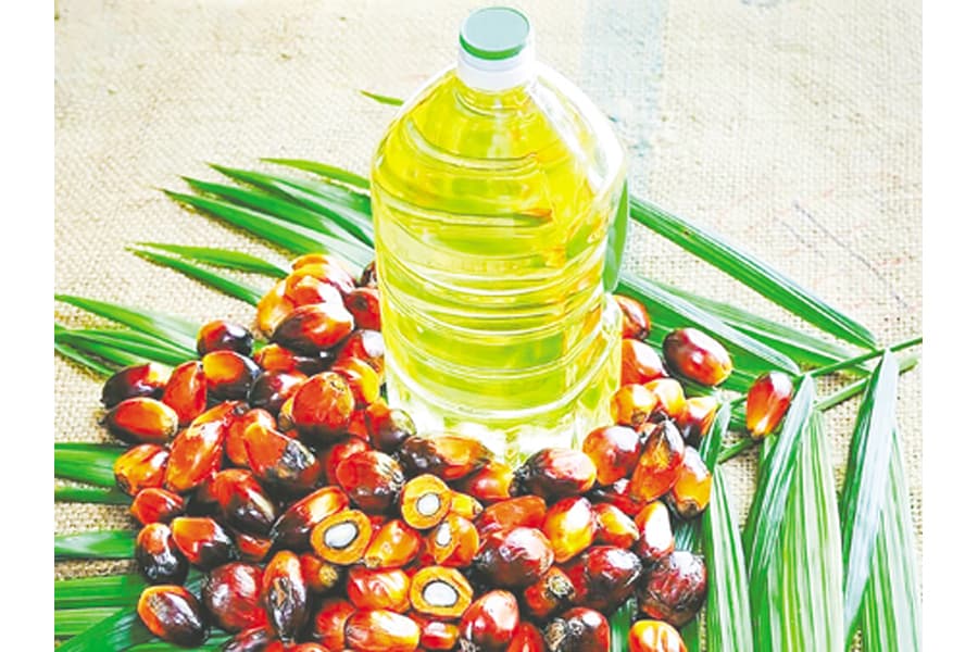 TCB plans to buy 240m litres of palm oil from Malaysia