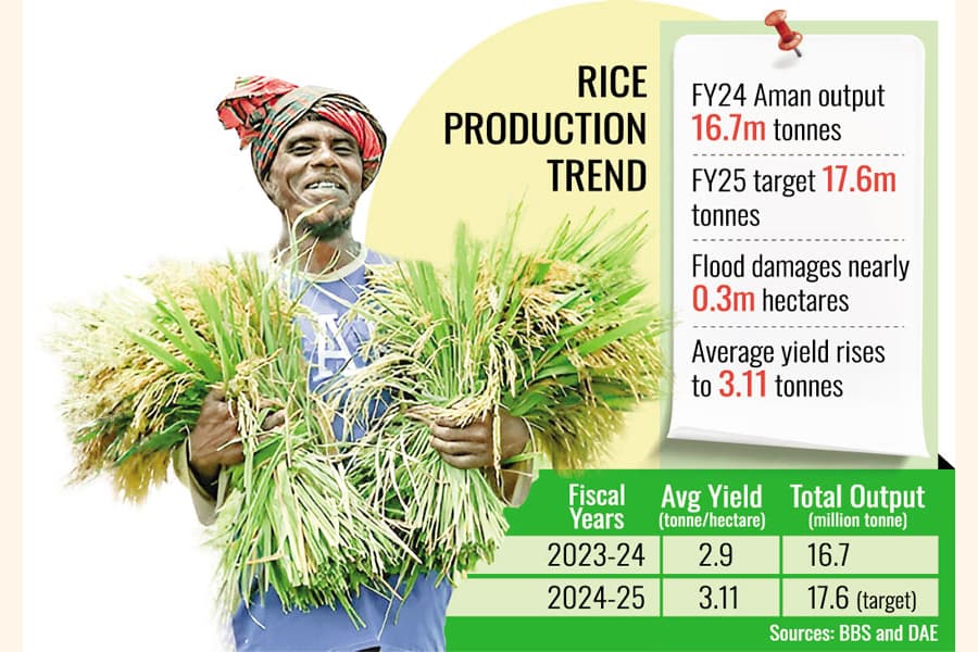 Average Aman yield increases