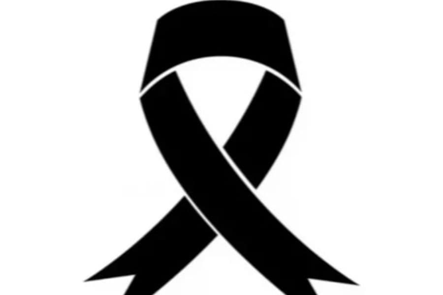 State mourning declared for late Adviser Hasan Arif on Monday