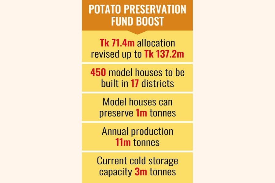 Govt doubles allocation for potato preservation amid market volatility