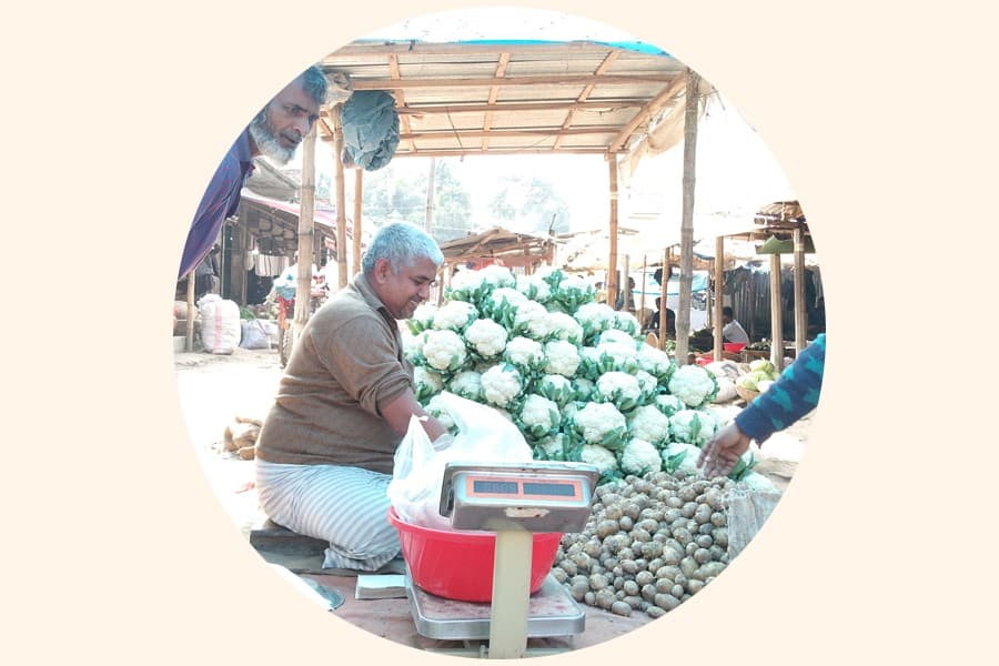 Vegetable prices fall due to bumper yield in Gaibandha