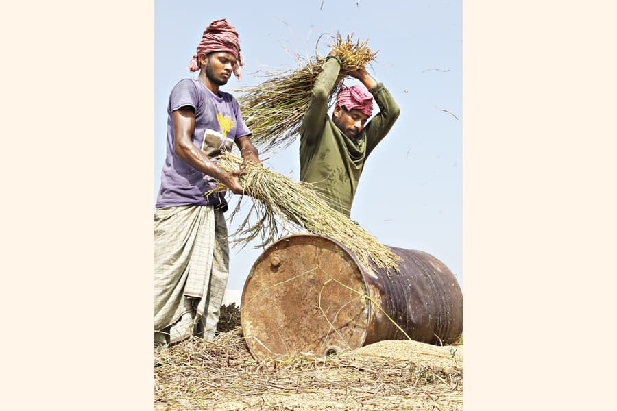 Maximising benefits of agricultural production