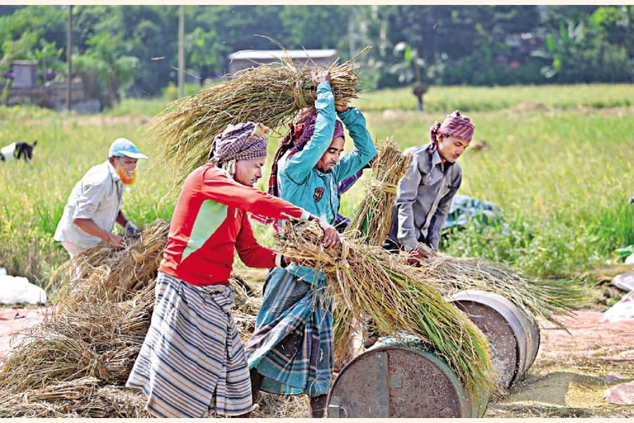 Price hike of rice in peak harvesting season