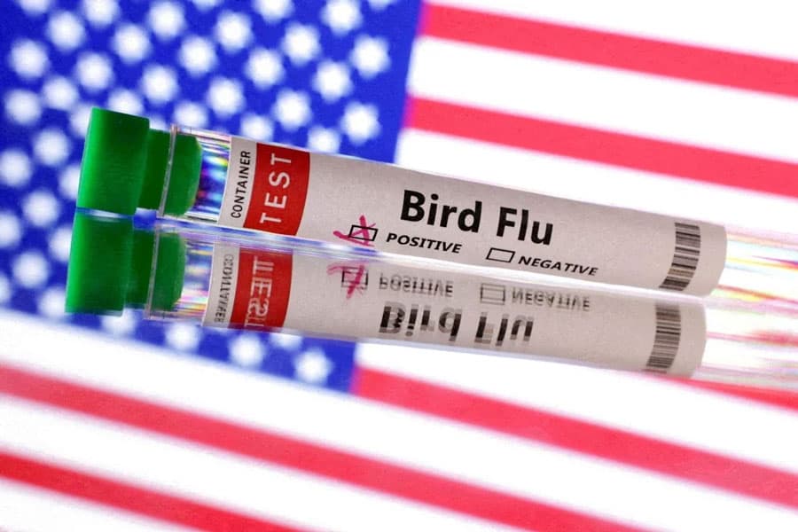 First US bird flu death is announced in Louisiana