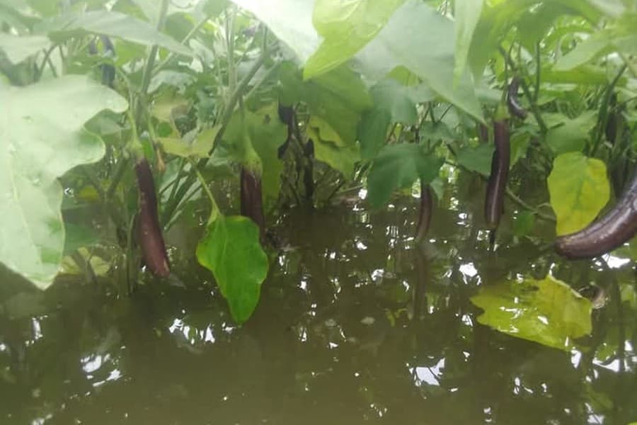Farmers remain in dark about natural calamities