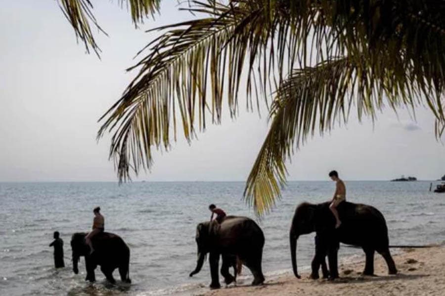 Thailand receives over 35.5 million foreign tourists in 2024