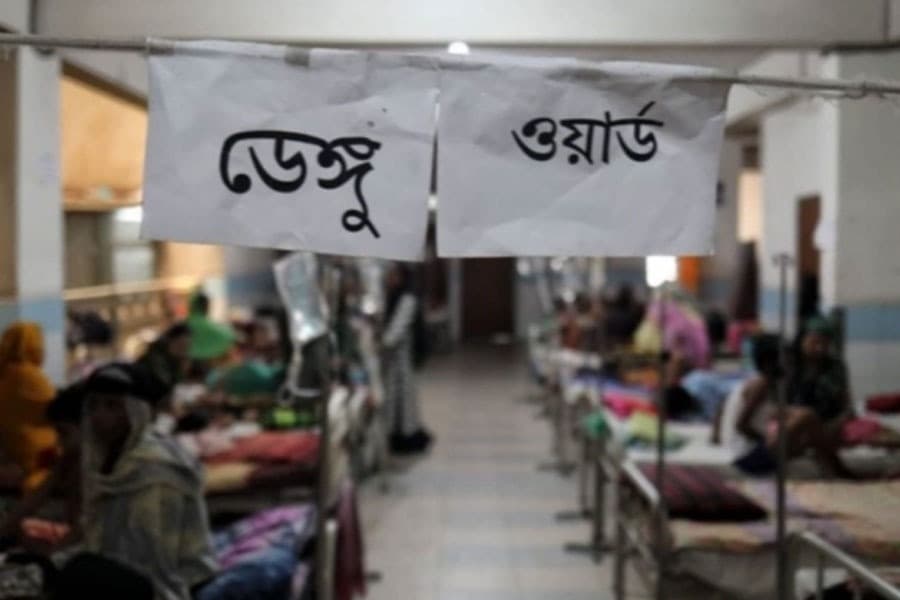 Dengue: 51 cases reported in 24hrs