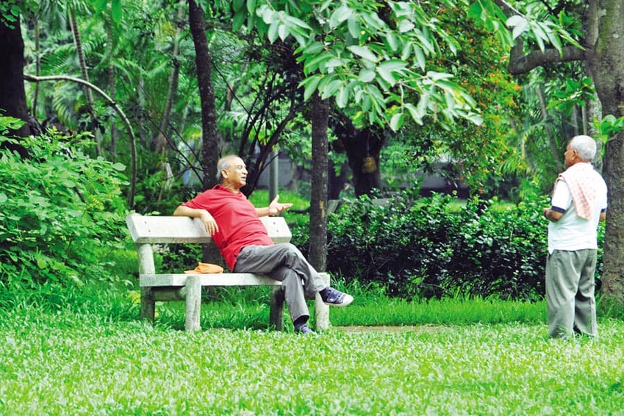 Thirst for serenity in the noisy city life