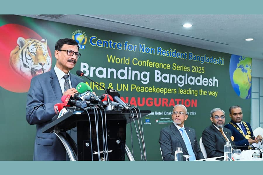 Engage in host country’s politics instead of Bangladesh politics: Foreign Adviser to NRBs