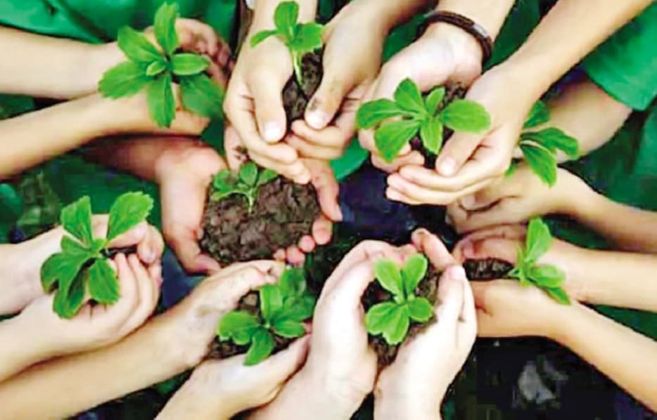 Environmental education & youth engagement in climate action
