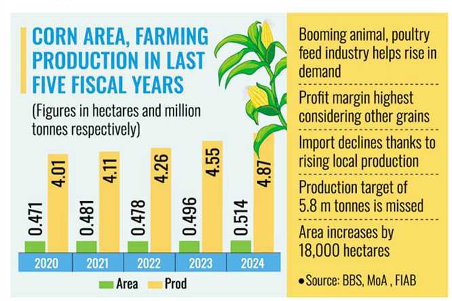 Maize production hits all-time high of 4.87m tonnes in FY'24