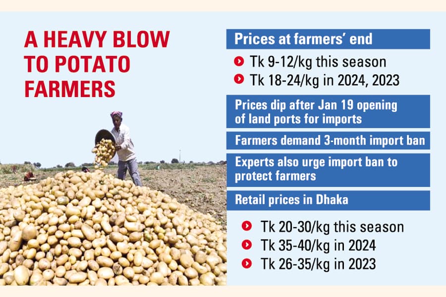 Farmers in peril as all land ports opened for potato imports