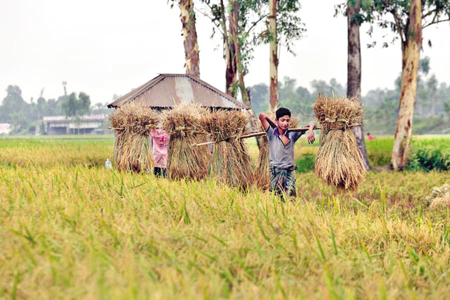 Pathways to economic resilience & growth