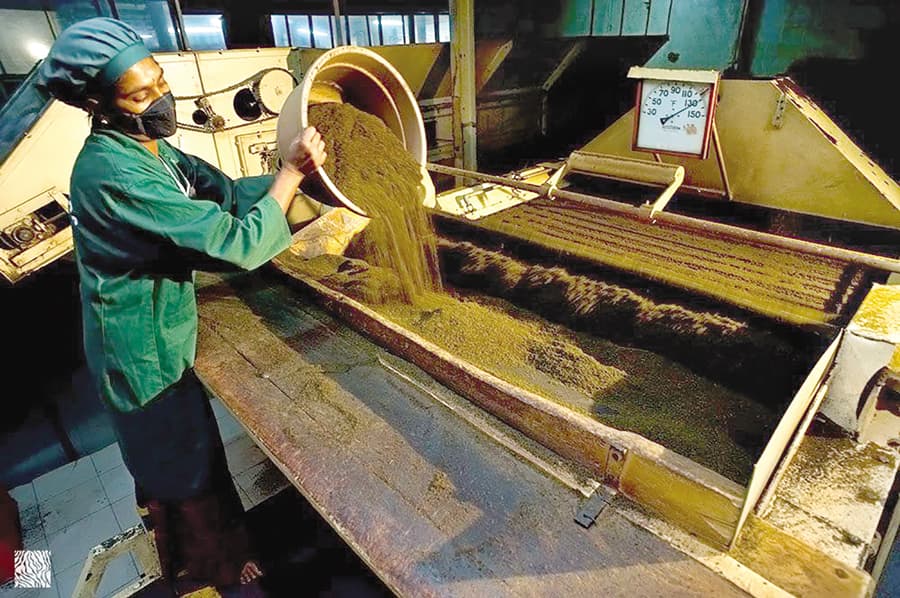 Tea industry needs deep reforms
