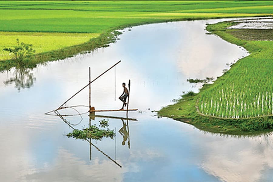Promote agro-tourism to support local businesses, say experts