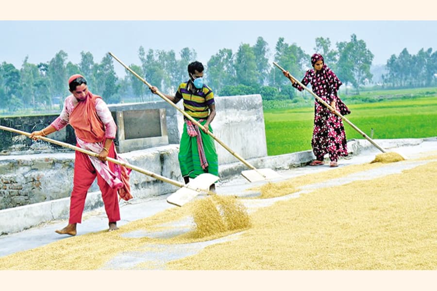 Strengthening food storage facilities