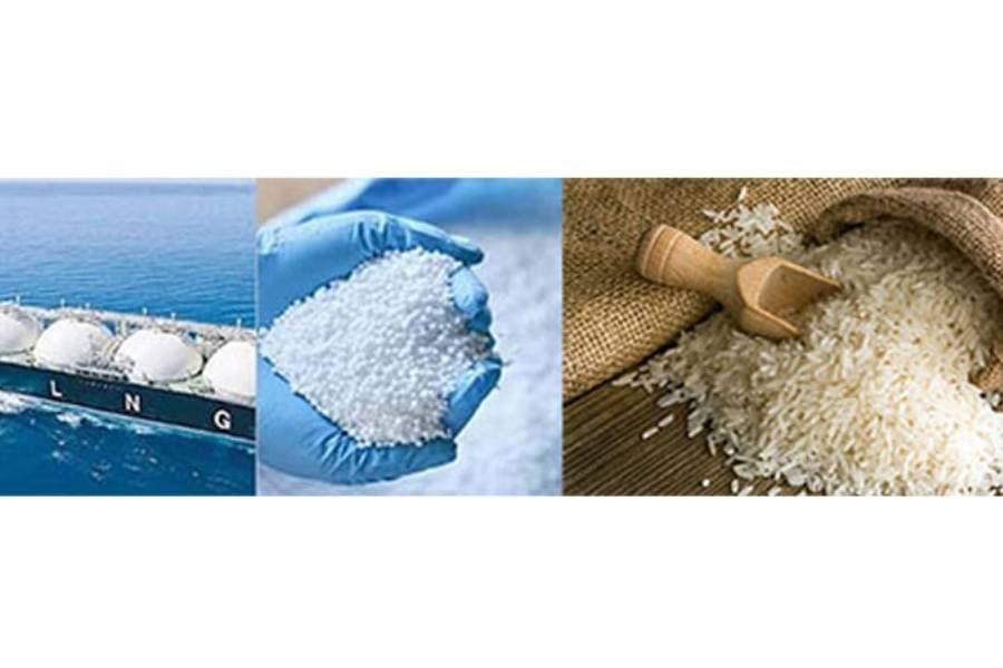 Govt to procure rock phosphate, fertilizer, rice, LNG