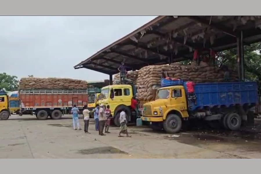 13,968 tonnes of rice imported from India through Benapole in 3 months