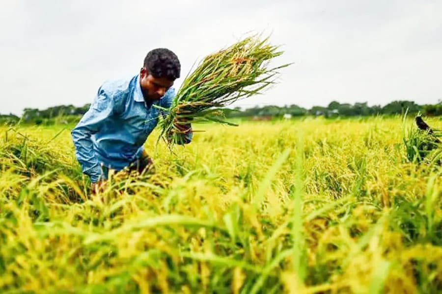 Climate crisis and food insecurity-key issues for developing countries, WFP and FAO
