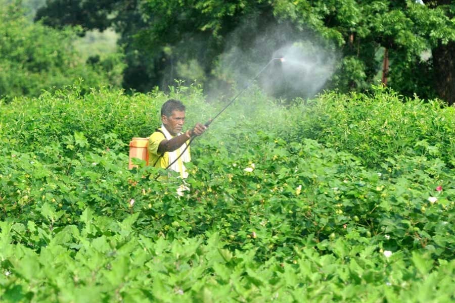Lack of policy likely to affect export of farm products