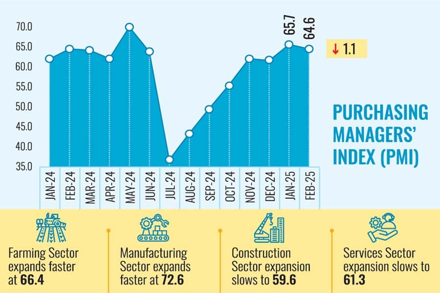 Economy witnesses slower expansion in Feb