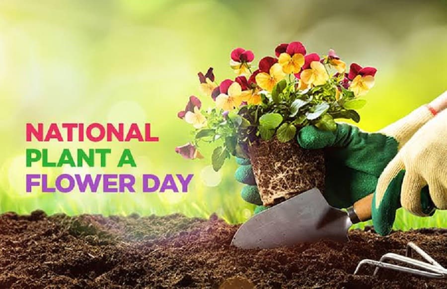 A global celebration of National Plant a Flower Day