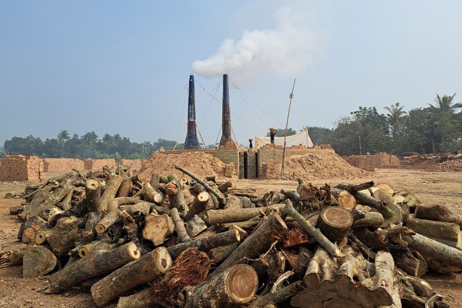 Gopalganj brickfields burn wood flouting govt ban