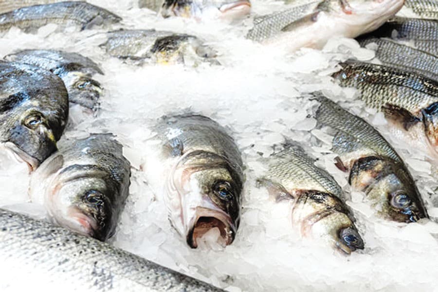 Singapore urged to import frozen fishes, fruits from BD