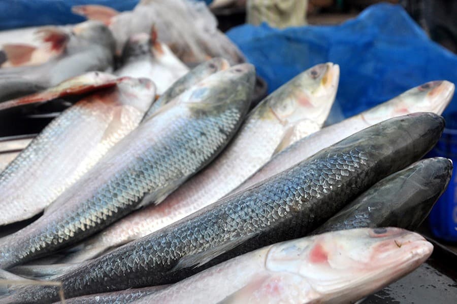 Fruit and fish prices soar ahead of Pahela Baishakh