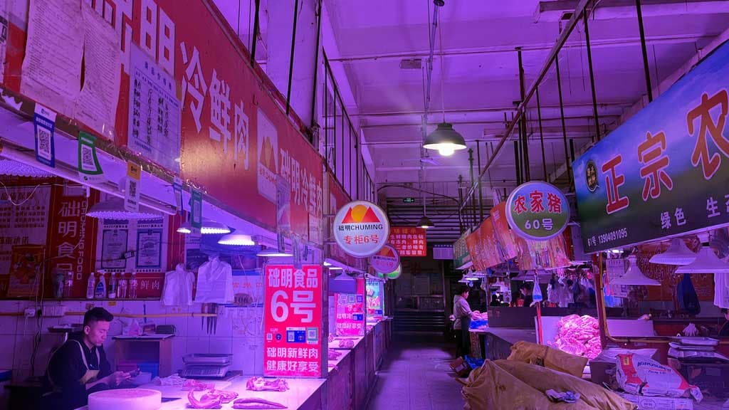 China's murky bankruptcies expose hazards for foreign investors