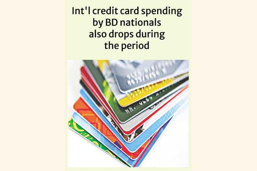 Domestic credit card usage declines in Feb 2025