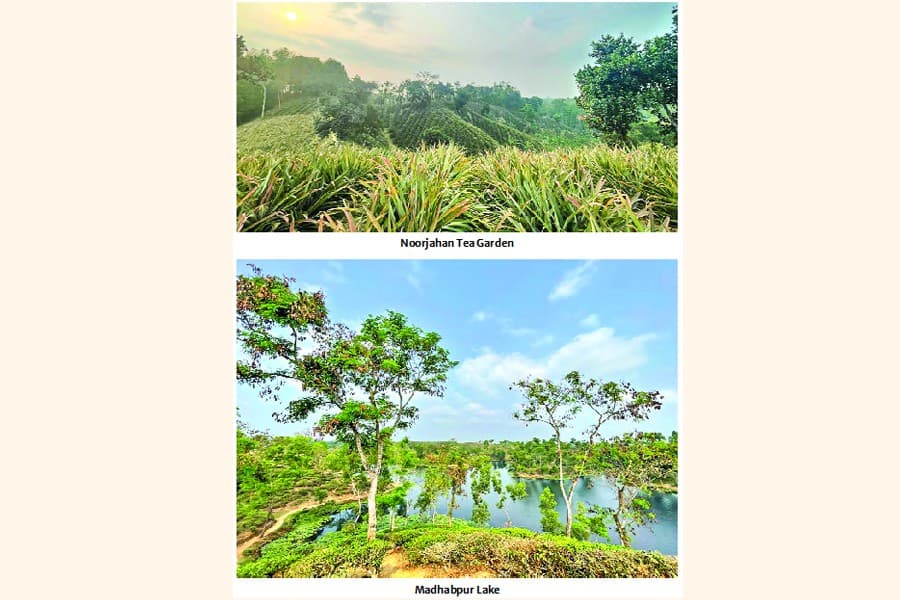 Exploring Sreemangal in less than 24 hours