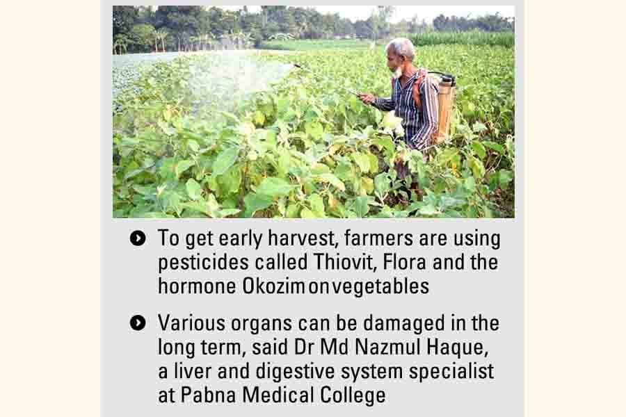 Pesticide overuse on vegetables poses health risks in Pabna