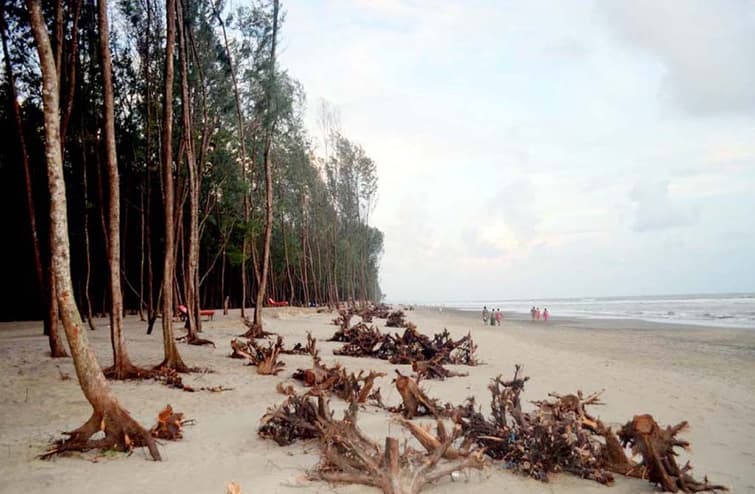 Reclaiming Cox's Bazar forests