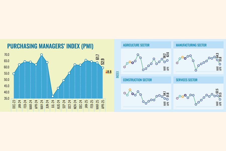 PMI indicates softer pace of economic expansion